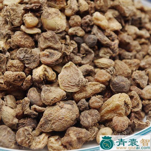 中药材野蘑菇图片