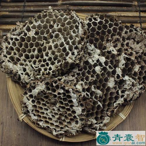 野蜂房的性状性味归经以及功效用法和注意事项-青囊智
