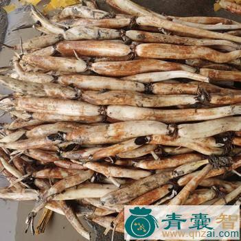 野连菜的性状性味归经以及功效用法-青囊智