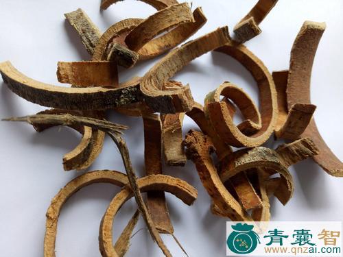 中药材野雁皮图片