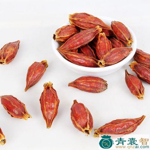 中药材野黄栀图片