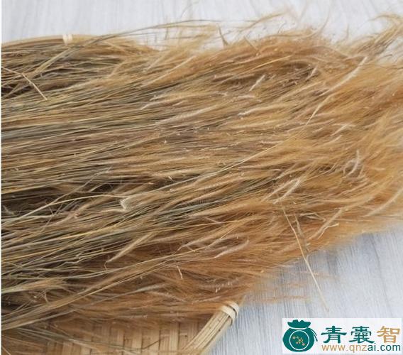中药材金丝毛图片