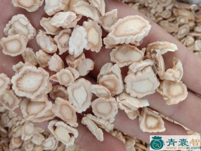中药材金井玉阑图片
