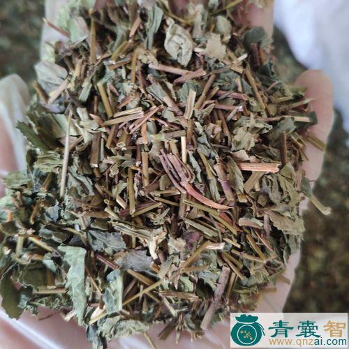 金交杯的性状性味归经以及功效用法-青囊智