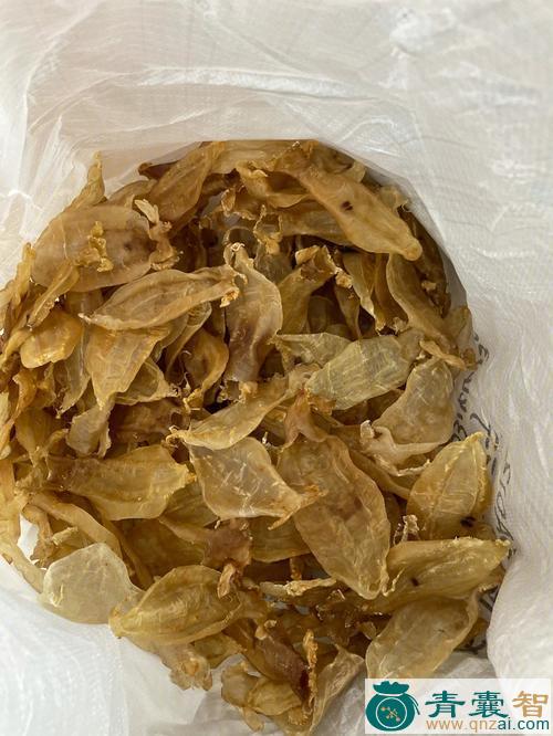 中药材金公图片