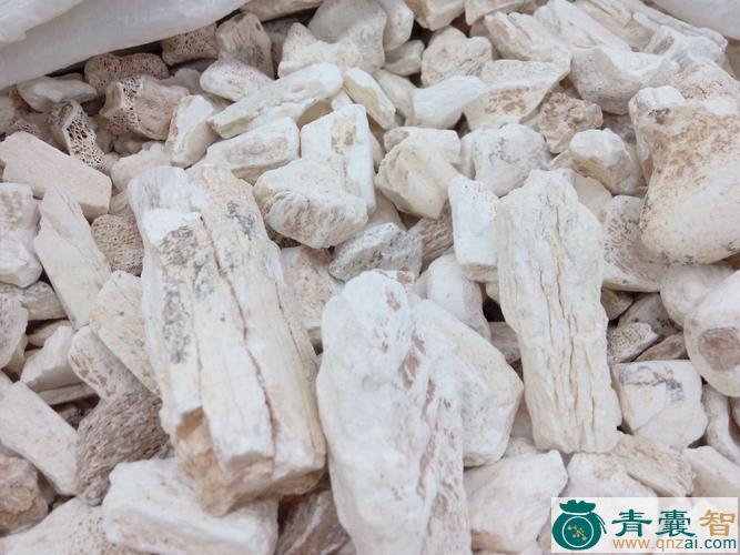 中药材金刚骨图片