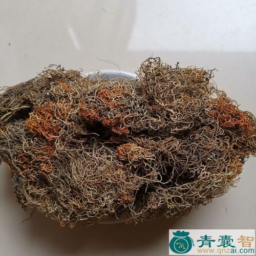 中药材金刷把图片