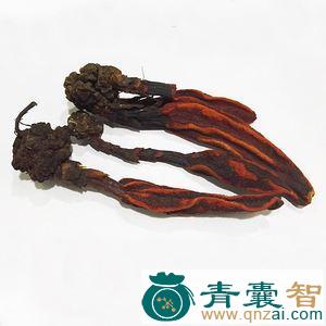 中药材金枪药图片