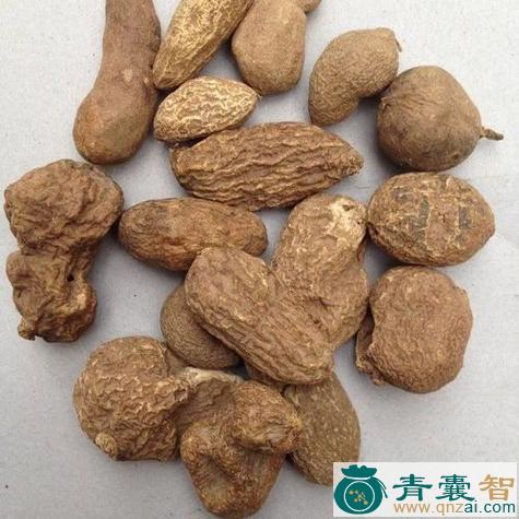 中药材金楛榄图片