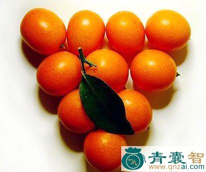 中药材金橘露图片