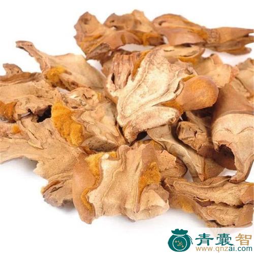 中药材金狗脊黄毛图片