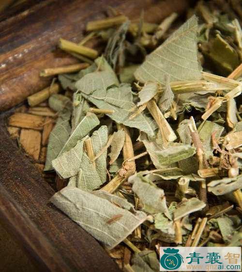 中药材金环草图片