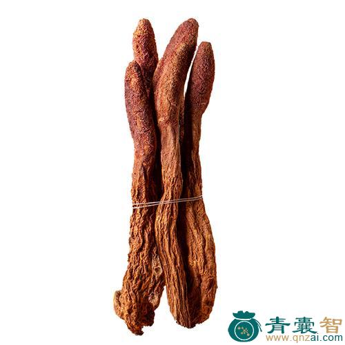 中药材金琐玉图片