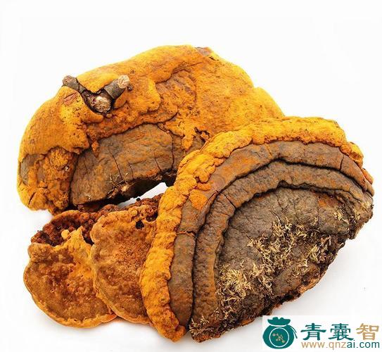 中药材金疙瘩图片