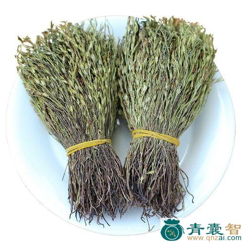中药材金百脚图片