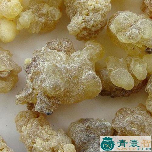 中药材金石香图片