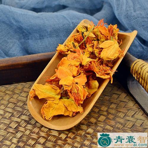 中药材金福花图片