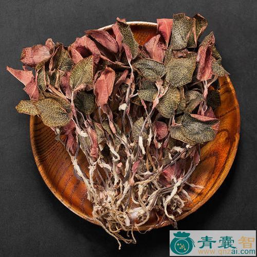 金线兰的性状性味归经以及功效用法-青囊智
