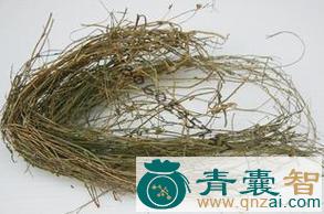 中药材金线标图片