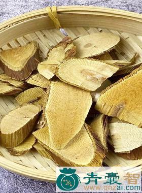 中药材金老梅根图片