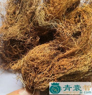 中药材金腰带根图片