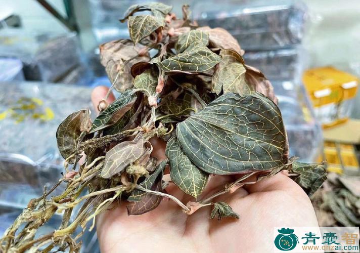 中药材金腰莲图片