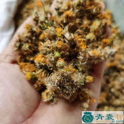 中药材金花旋覆图片