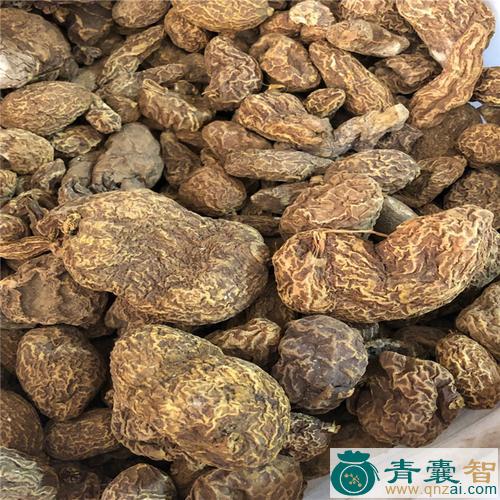 中药材金苦榄图片