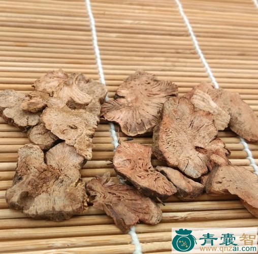 中药材金荞麦图片