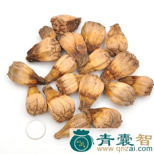 中药材金边假菠萝图片