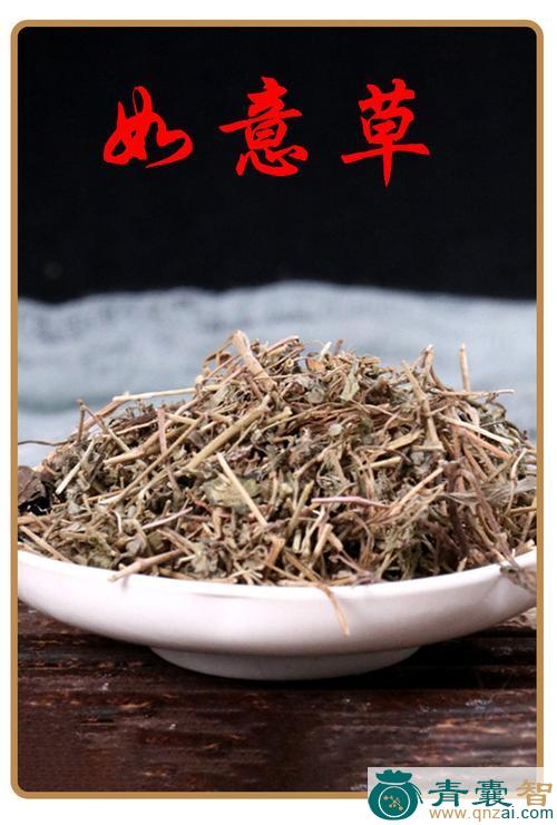 金钩如意草的性味归经以及功效用法-青囊智