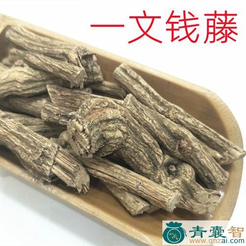 中药材金钱暗消图片