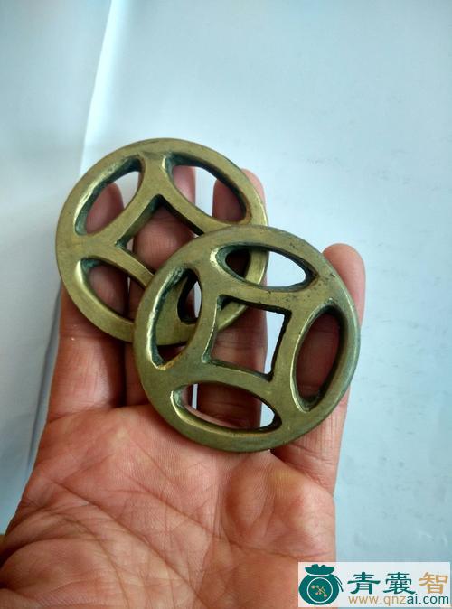 中药材金钱标图片