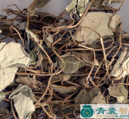 中药材金钱花图片
