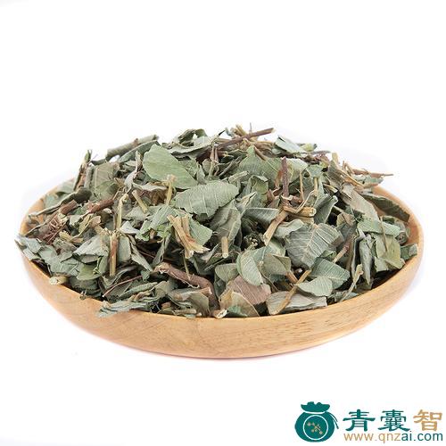 中药材金钱苦叶草图片