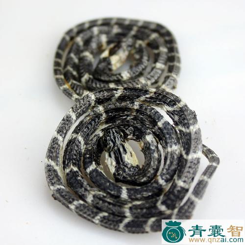 中药材金钱蛇图片