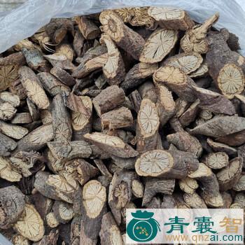 中药材金锁银开图片