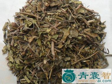中药材金锦枫图片