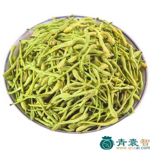 中药材金风花图片