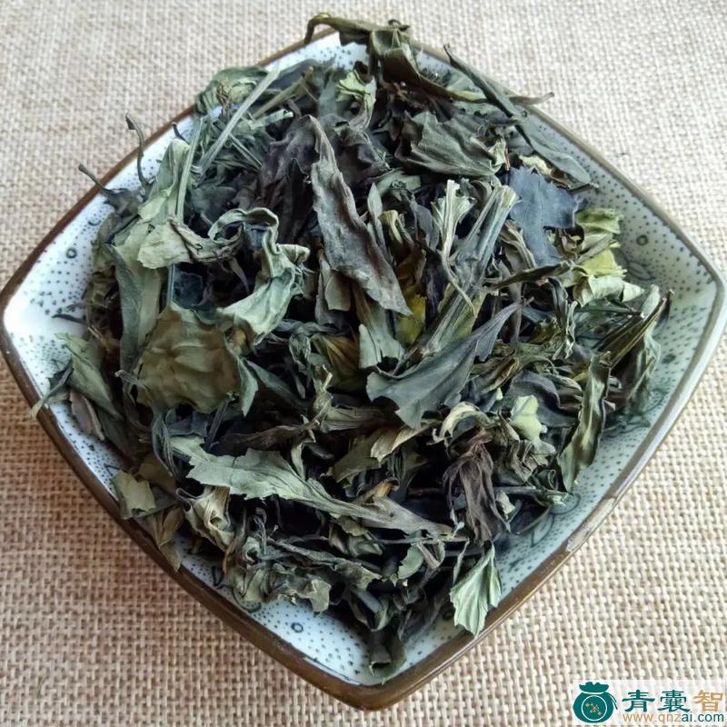 中药材金香草图片