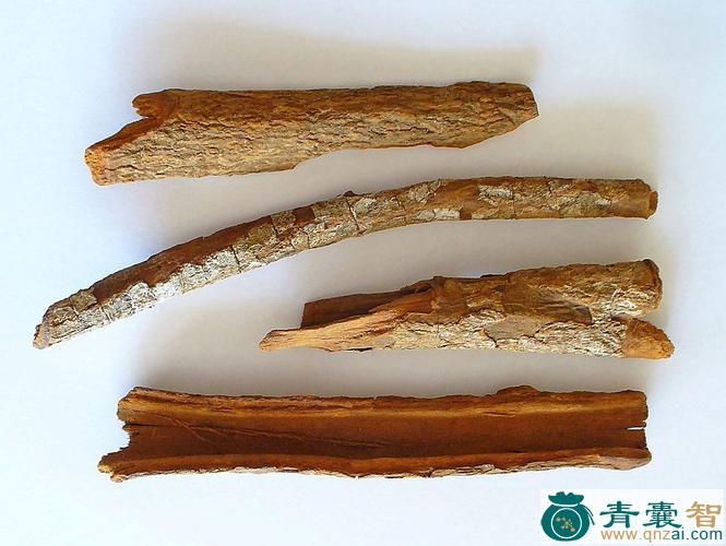 金鸡纳的性状性味归经以及功效用法和注意事项-青囊智