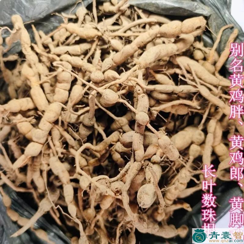 中药材金黄鸡图片