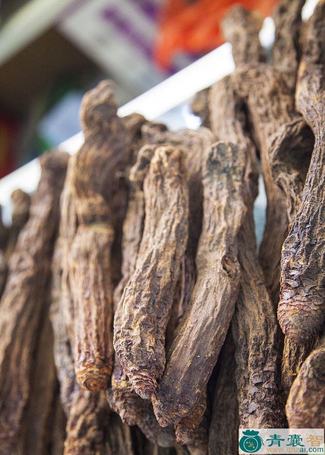 中药材金龙角图片