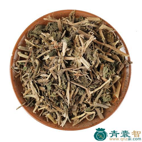中药材针仔簕图片