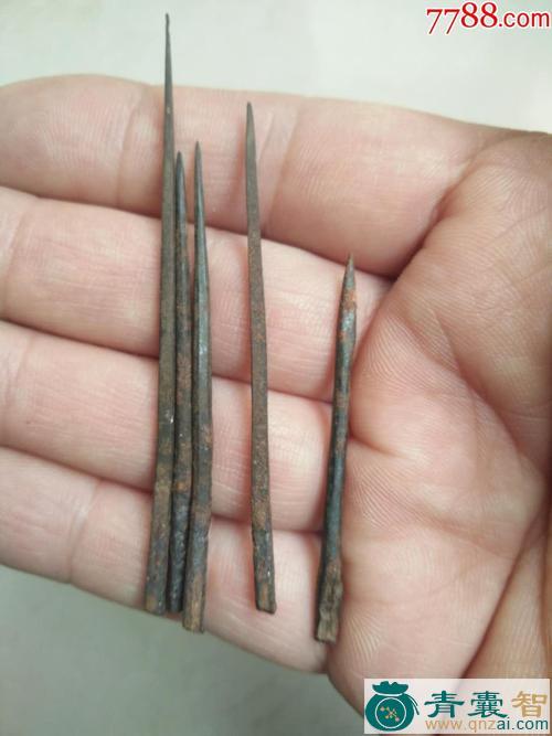 中药材针刺铁仔图片