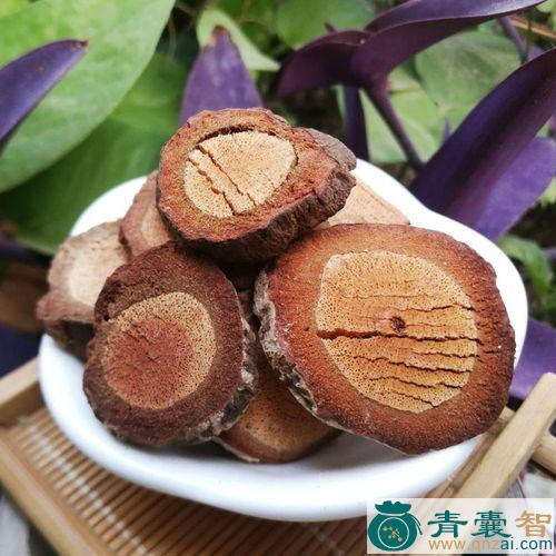 中药材钻骨凤图片