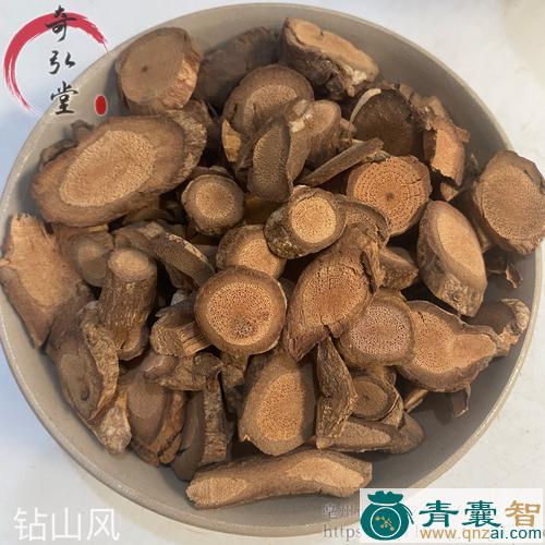 中药材钻骨风根图片