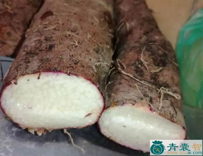 中药材铁杆椒图片