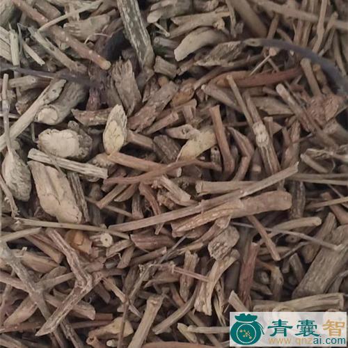 中药材铁板膏药草图片