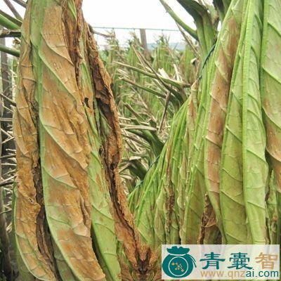 中药材铁栏杆图片